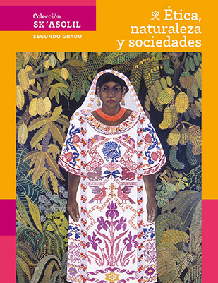 Libro Ética naturaleza y sociedades segundo grado de Secundaria PDF