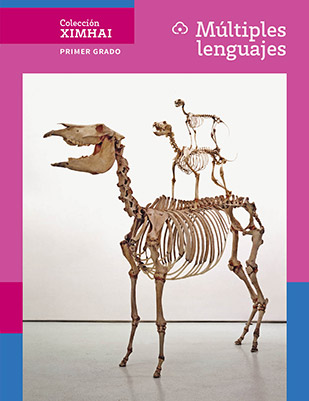 Libro Múltiples lenguajes primer grado de Secundaria PDF