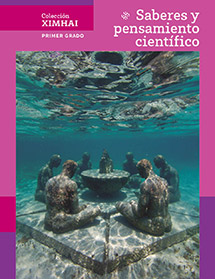 Libro Saberes y pensamiento científico 1 PDF