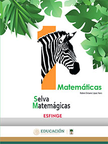 Libro Matemáticas I Editorial Esfinge