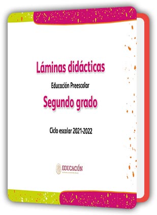 Libro Láminas didácticas segundo grado de Preescolar PDF