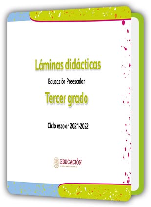 Libro Láminas didácticas tercer grado de Preescolar PDF