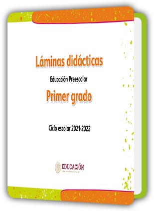 Libro Láminas didácticas primer grado de Preescolar PDF