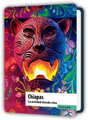 Libro Chiapas La entidad donde vivo tercer grado de Primaria PDF