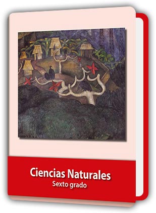 Libro Ciencias Naturales sexto grado de Primaria PDF
