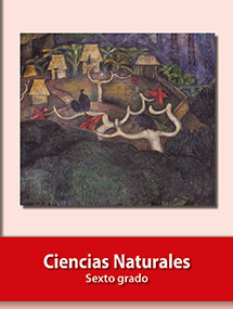 Libro Ciencias Naturales - Sexto grado