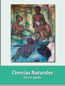 Libro SEP Ciencias Naturales de tercer grado primaria