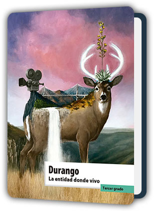 Libro Durango La entidad donde vivo tercer grado de Primaria PDF