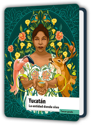 Libro Yucatán La entidad donde vivo tercer grado de Primaria PDF