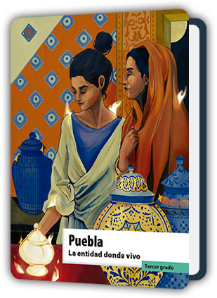 Libro Puebla La entidad donde vivo tercer grado de Primaria PDF