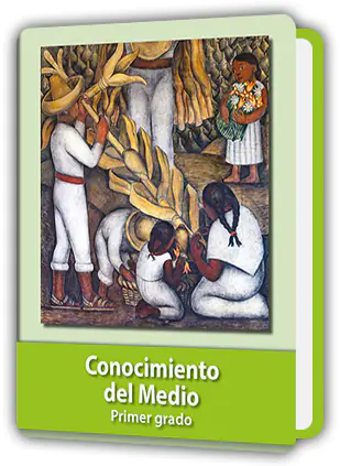 Libro Conocimiento del Medio 1º de Primaria (Descargar PDF 2025)